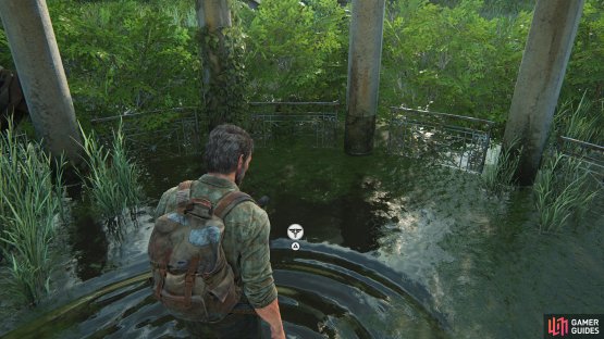 Collect the Firefly Pendant from the floor underneath the gazebo