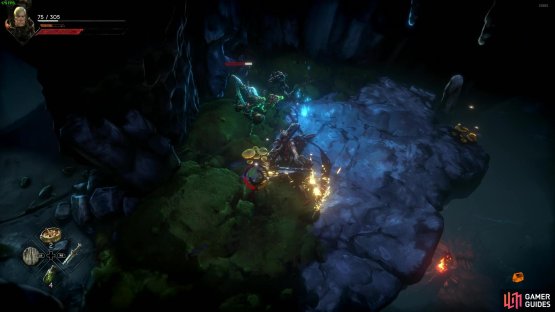 Go north from the wisp and you’ll find a dense mob area with more mushrooms growing around the edges.