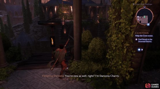 Take the northern zipline from the Cantori Diamond Beacon.