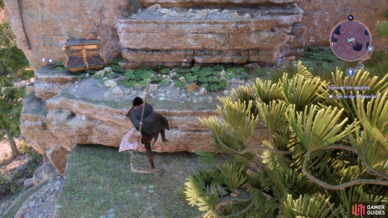 Climb up them to find a chest on the way to an altar at the top.