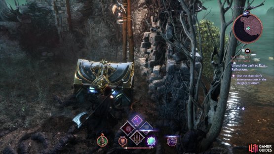 Don’t forget to loot the Unique Chest after you defeat Amarell.