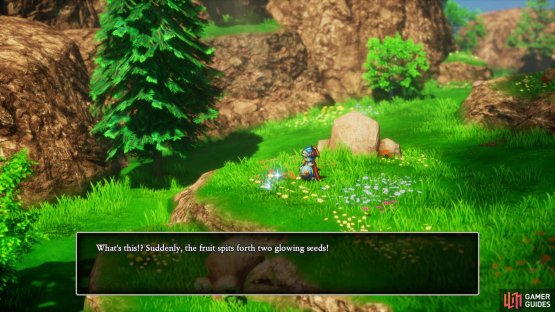 You’ll find some seeds during the story that are eventually used to craft the Soul Sigil,