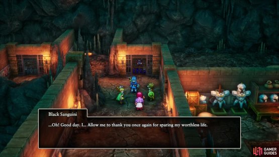 Enter the cell occupied by the Black Sanguini - this may or may not trigger a scene,