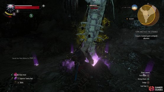 The Yrden Sign will trap Giant Centipedes, allowing you ample time to hack away at their vulnerable underbellies.