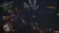 The Pukei-Pukei can injure hunters by charging back and forth