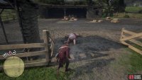 You will find the lion in the stable to the south of the barn