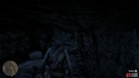 search inside the waterfall to find the map within the wall.