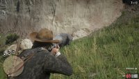 You can find American Bison along the southwestern end of the Heartlands
