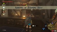 This sidequest is from Kakariko Village