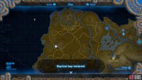 This is an important Tower though, because it will give you information on Hyrule Castle