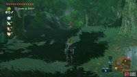 Dorian will then go right, branching away from the Great Fairy Fountain