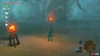 The embers in this picture are blowing straight ahead of us, indicating that we must continue forward
