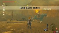 Then he will take your horse and leave
