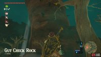 This is the Gut Check Rock. It’s very tall with platforms scattered around it