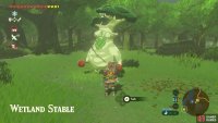 Hestu will be here, also trying to go to Korok Forest