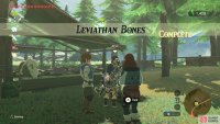 And now you have some lovely pictures on your Sheikah Slate!