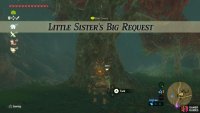 This is another fetch quest for someone
