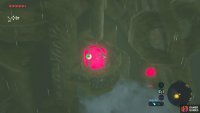 These pink spots are what you are aiming for. Scope them out with your camera so that you can aim quickly.