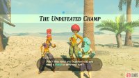 This Shrine Quest requires knowledge of using a Sand-Seal