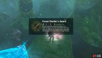 The chest on the rock contains another Forest Dweller’s Sword
