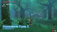 The main attraction of this floor is a skull camp.