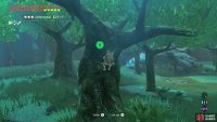 Swiftly climb up one of the thick trees near a Moblin.