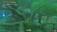 Then distract/kill them with bombs.
