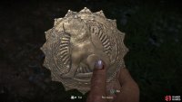 Your prize: the lion
