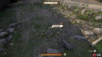 Hover over the plants to determine what they are.