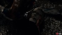 Find the head on the left for Markus’ new eye