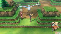 038 Ninetales - Route 9: Between ledges to left of Route 10.