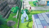 044 Gloom - Pewter City: Side path to left of Pokémon Center. 
