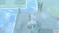 144 Articuno - Seafoam Islands: Floor B4, overlooking Articuno’s corner. 