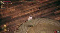 Read Zoe’s journal scraps to find out where she is