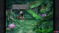 The location of the Cooperation story bit