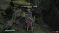 finally climb up to find the last chest that holds The Guardian Poncho.