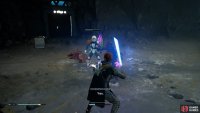 Force Push the two guards off the side