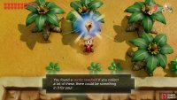 and dashing into the tree to get a Secret Seashell.