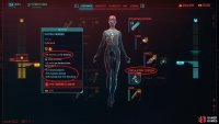The Circulatory System cyberware can provide stamina effects. The blue modifiers can also provide them, although that’s not the case here.