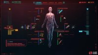 You upgrade your armor by placing cyberware into three specific systems like Skeleton, Integumentary, and Legs.