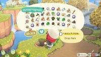 First, you’ll need to bury and water a Gyroid Fragment.