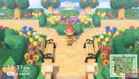 but the more flowers the better!