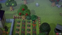 If you water the pumpkin seeds everyday you’ll get three pumpkins from one seed
