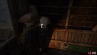 then when you’ve taken out the area full of enemies, head up to the 2F of the middle building for a Coin. 