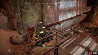 After some hard work, Aloy finally collects the ornament. 