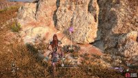 to find the third nest behind the next large rock. 