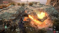to find the final egg nest on top of the rock. 