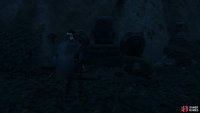 then follow the path along until your see a Frog Statue, now give a bow to see a cool effect.
