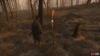 to find this banner.
