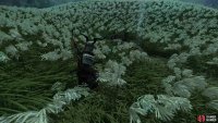 he’ll be in the field here requesting Predator Hides